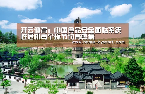 开云体育:中国食品安全面临系统性危机每个环节均有弊病(图3) 开云体育:中国食品安全面临系统性危机每个环节均有弊病(图3)